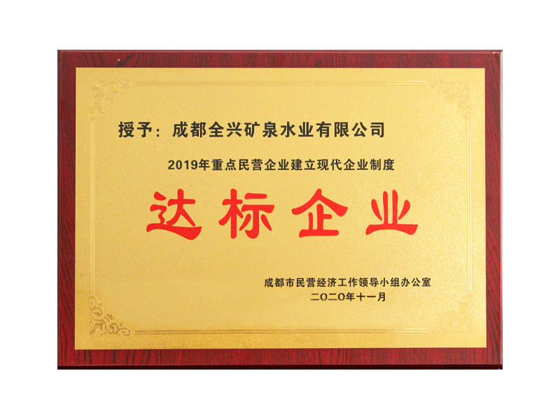 2019年重點(diǎn)民營(yíng)企業(yè)建立現(xiàn)代企業(yè)制度達(dá)標(biāo)企業(yè)